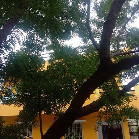 Thendral Hostel Monthly Rental Pondicherry Ngoại thất bức ảnh