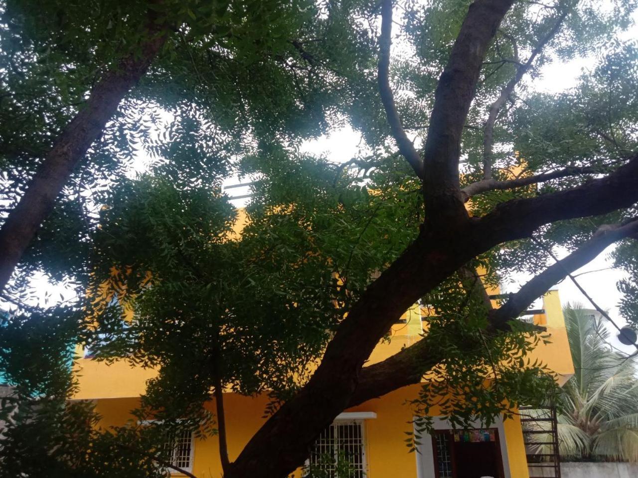 Thendral Hostel Monthly Rental Pondicherry Ngoại thất bức ảnh